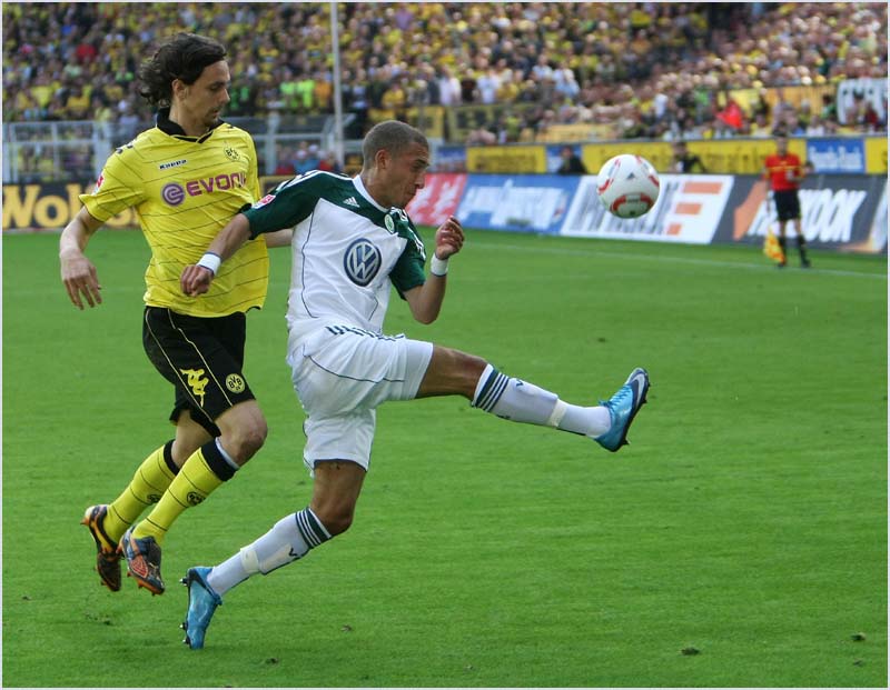 BVB-Wolf (150)