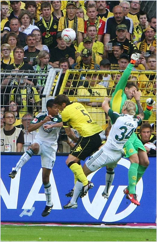 BVB-Wolf (152)