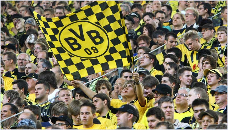 BVB-Wolf (167)