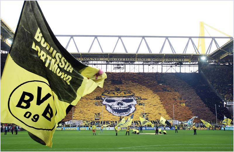 BVB-Wolf-11 (107)