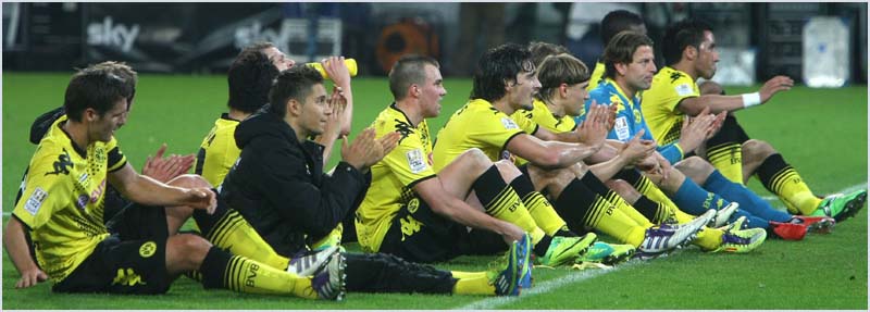 BVB-Wolf-11 (210)