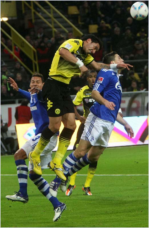 BVB-S04-11 (176)