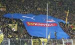 BVB-Hoffenheim-12 (15)