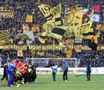 BVB-Lev-12 (101)