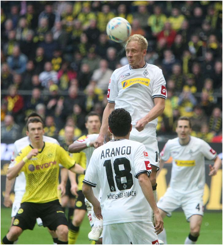BVB-BMG-12 (170)