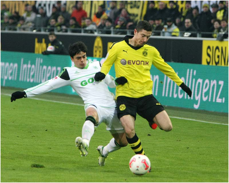 BVB-Wolf-12 (41)
