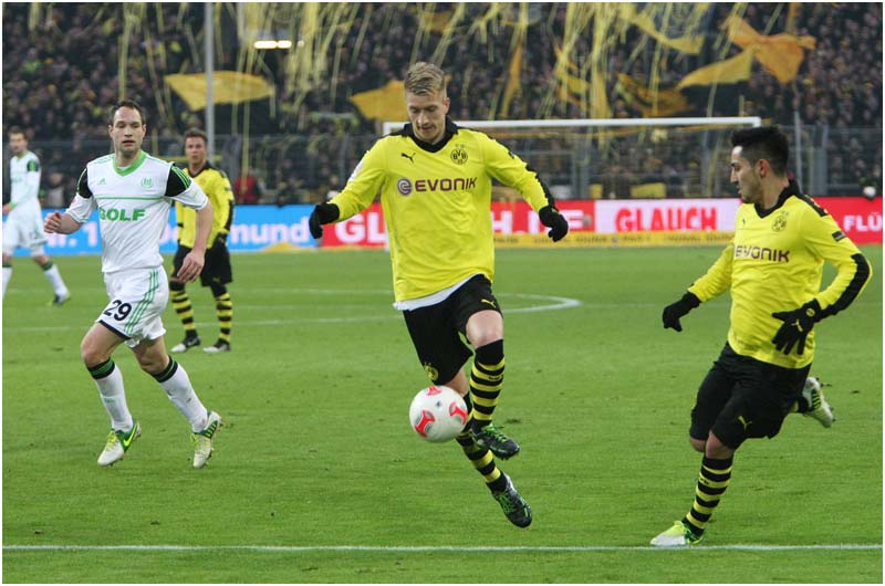 BVB-Wolf-12 (44)