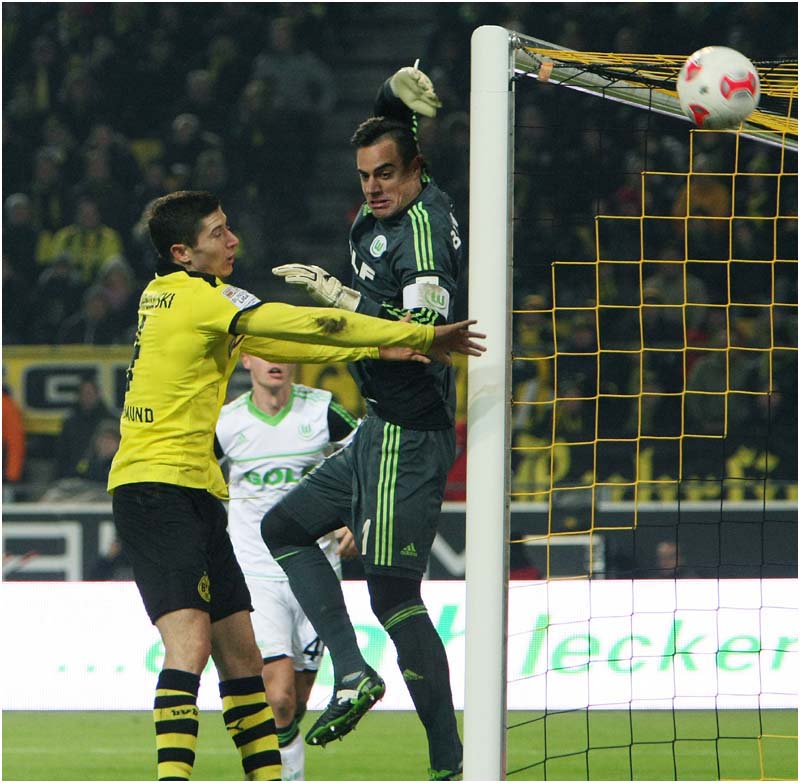 BVB-Wolf-12 (62)