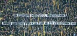 BVB-Wolf-12 (24)