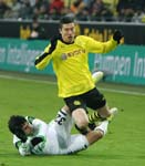 BVB-Wolf-12 (42)