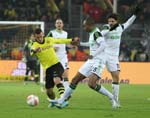 BVB-Wolf-12 (50)
