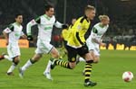 BVB-Wolf-12 (61)