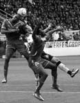 BVB-Hoffenheim (131)b