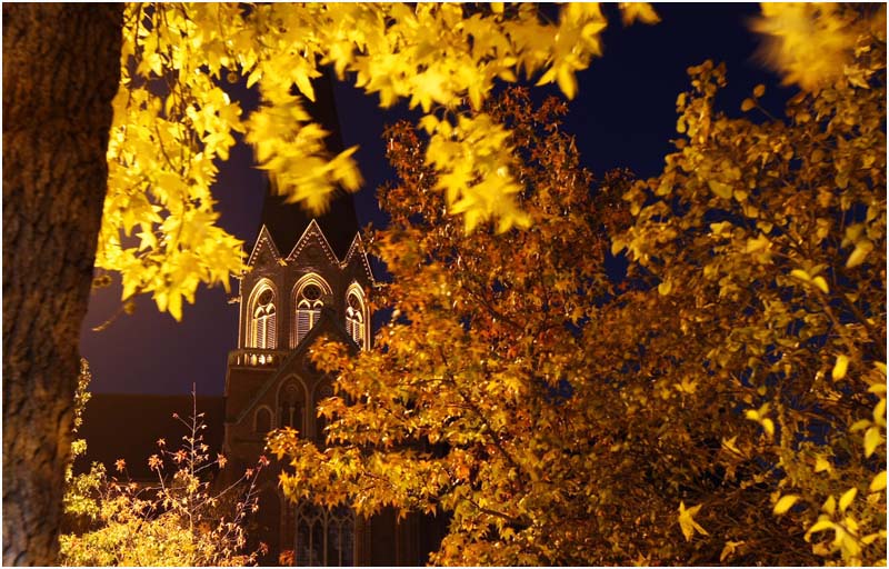 Stiftskirche-Herbstlaub-01
