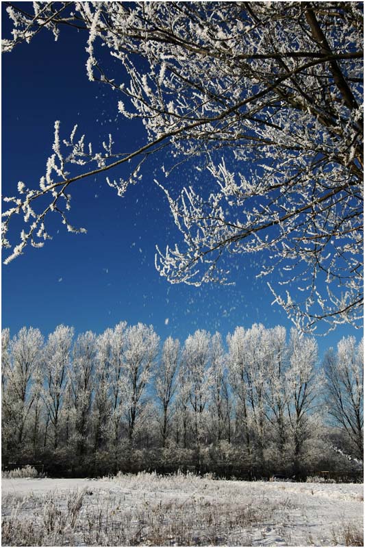 Winterfeature-02