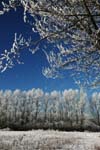 Winterfeature-02